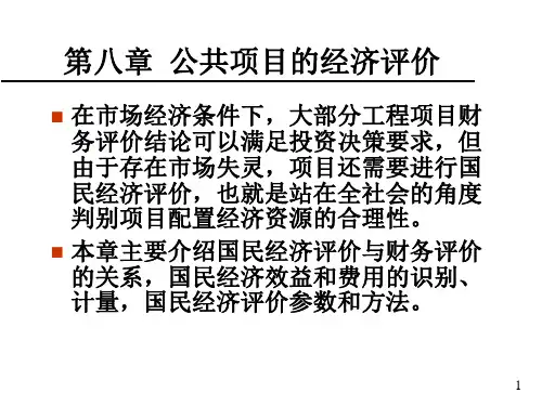 公共项目的经济评价讲义(PPT 65页)