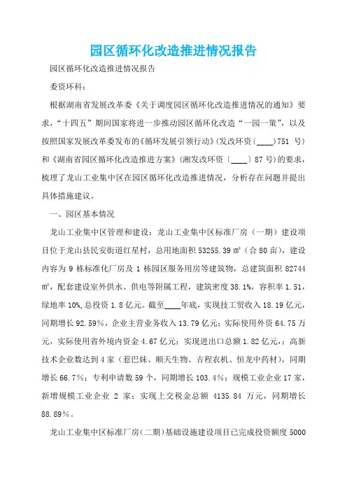 园区循环化改造推进情况报告  