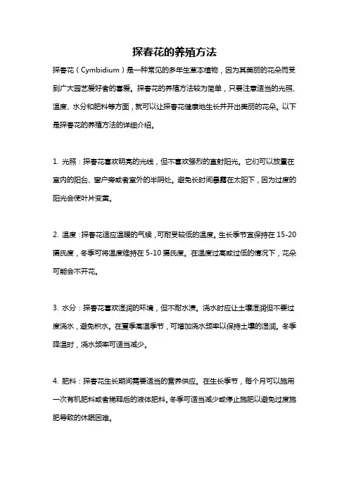 探春花的养殖方法