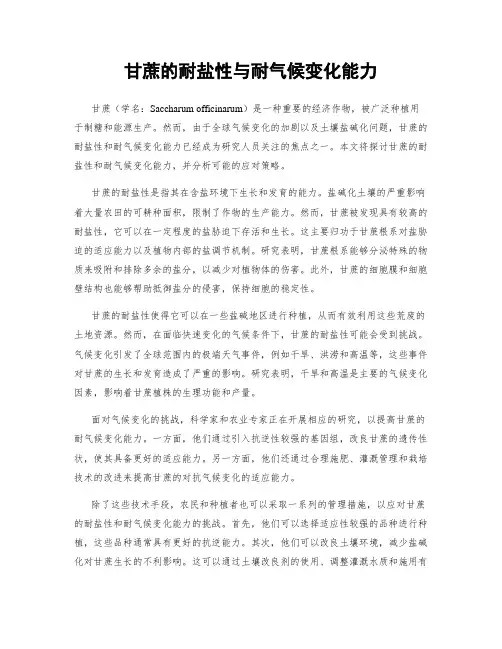 甘蔗的耐盐性与耐气候变化能力