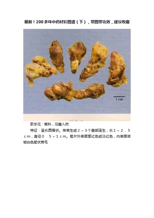 最新！200多味中药材彩图谱（下），带图带功效，建议收藏