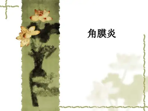 角膜炎ppt课件