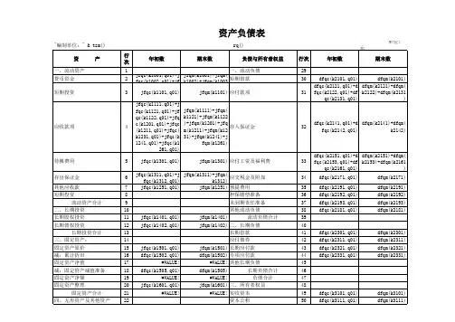 担保企业---财务报表