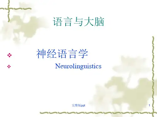 《神经语言学》PPT课件