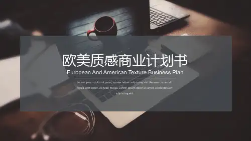 欧美质感的商业计划书ppt(内容完整可编辑)