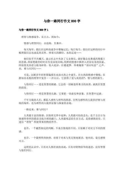 与你一路同行作文800字