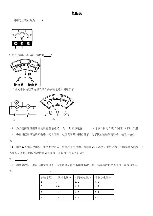 2020年九年级中考物理专题专测：电压表