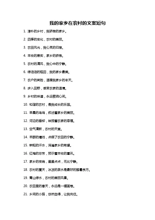 我的家乡在农村的文案短句