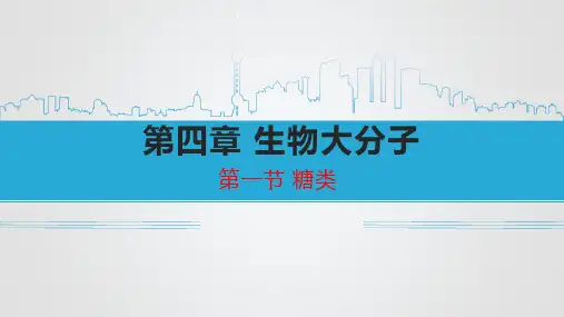 糖类课件-高二下学期化学人教版(2019)选择性必修3
