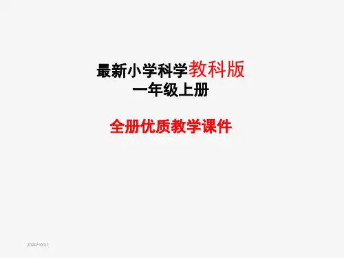 教科版小学科学一年级上册全册PPT课件