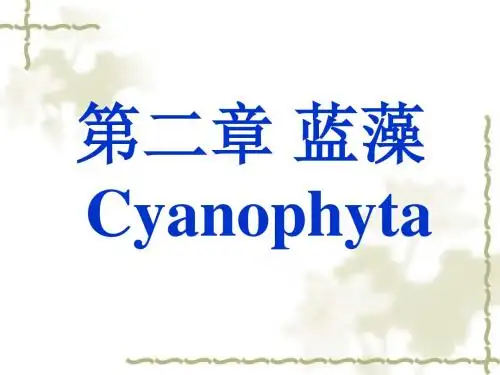 水生生物--蓝藻