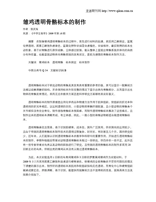 雏鸡透明骨骼标本的制作