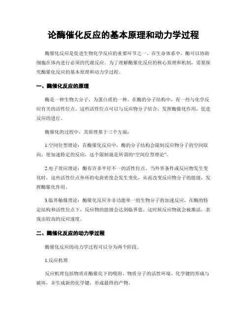 论酶催化反应的基本原理和动力学过程