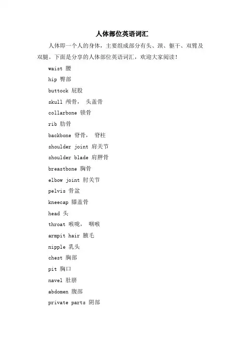 人体部位英语词汇