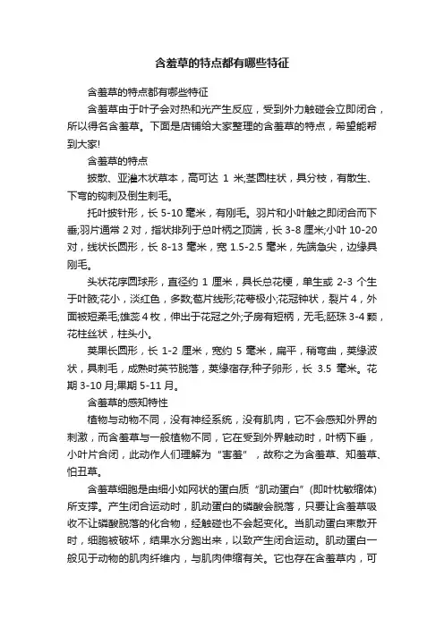 含羞草的特点都有哪些特征