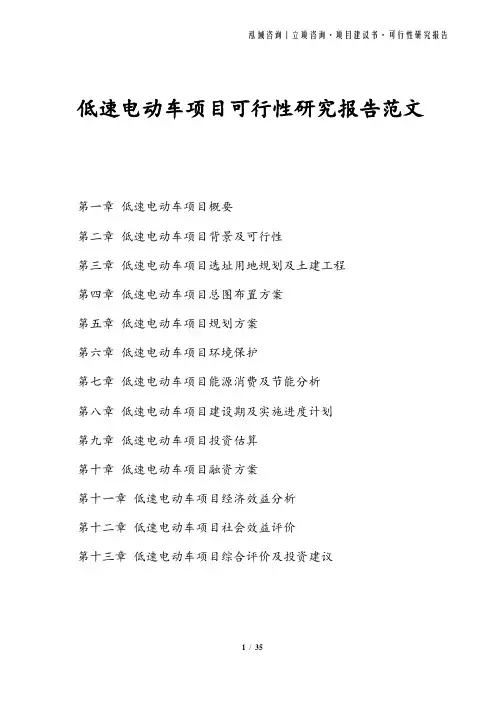 低速电动车项目可行性研究报告范文