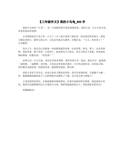 【三年级作文】我的小乌龟_600字