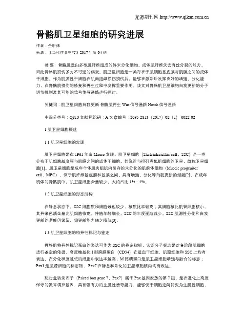 骨骼肌卫星细胞的研究进展