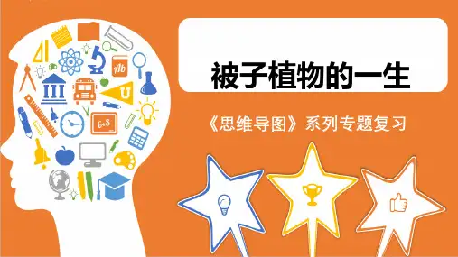 人教版七年级生物上册《思维导图 被子植物的一生》课件