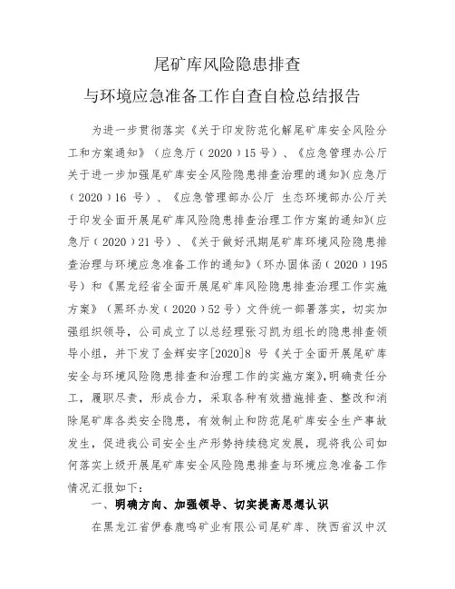 尾矿库安全风险隐患排查及环境治理工作报告