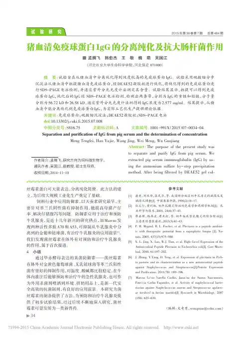 猪血清免疫球蛋白IgG的分离纯化及抗大肠杆菌作用