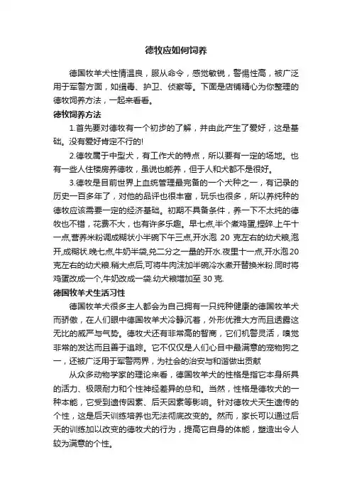 德牧应如何饲养