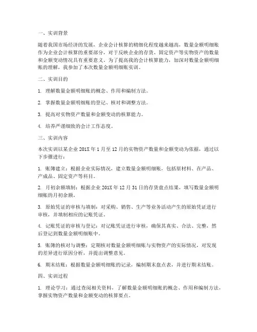 数量金额明细账实训报告
