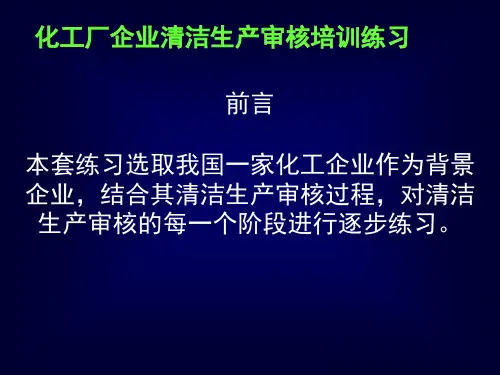 化工行业清洁生产案例分析报告
