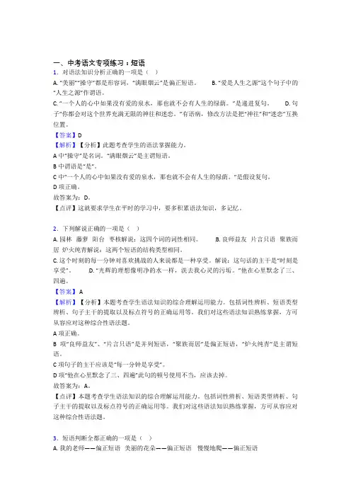 部编中考语文 短语含解析(1)