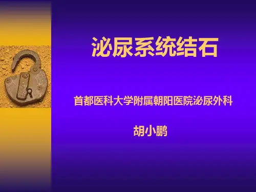 泌尿系结石