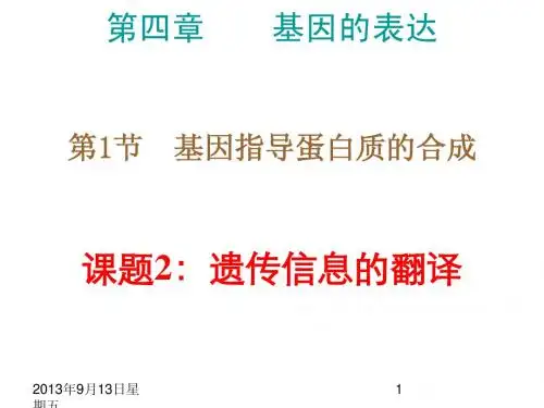 生物人教版必修二 4.1.2《遗传信息的翻译》课件