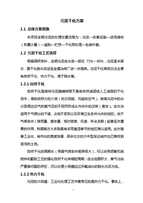 污泥干化详细方案要点