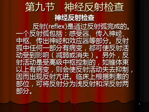 第九节神经反射检查PPT课件