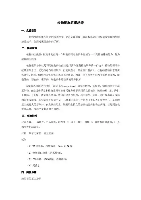 植物细胞组织培养-实验操作