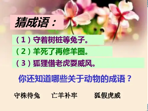20.《惊弓之鸟》ppt课件