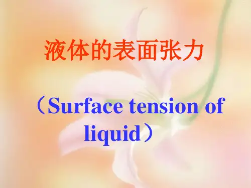 液体的表面张力