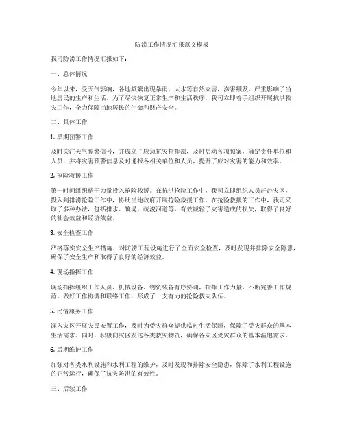 防涝工作情况汇报范文模板
