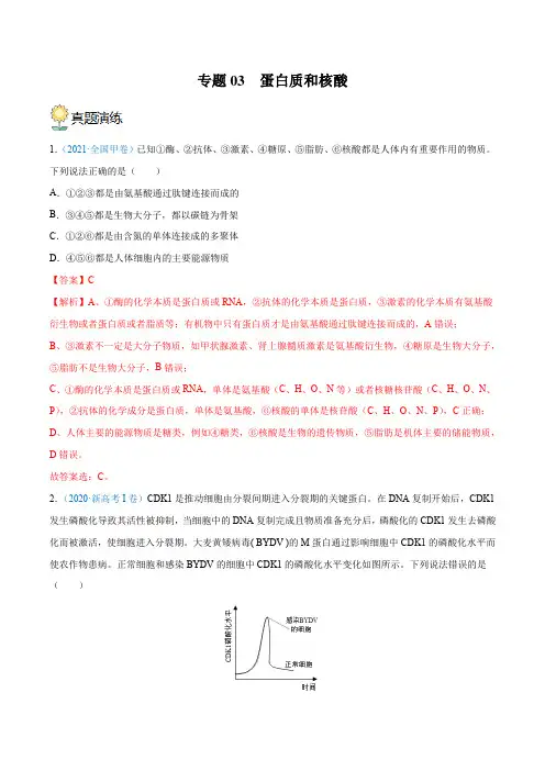 专题03蛋白质和核酸-2023年高考生物一轮复习考点精讲与精练