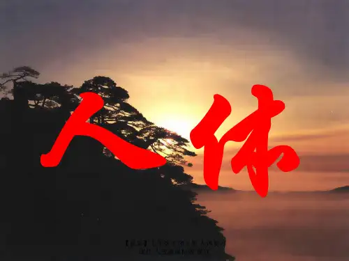 【最新】七年级生物下册 人体复习课件 人教新课标版 课件