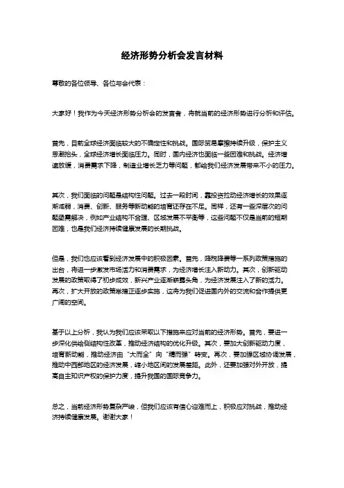 经济形势分析会发言材料