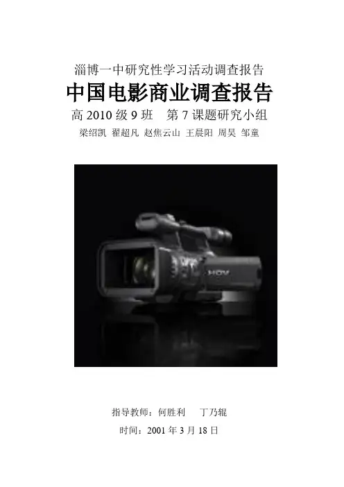 中国电影调查报告