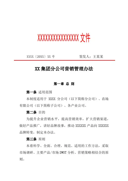 XX集团分公司营销管理办法(专业完整格式模板)