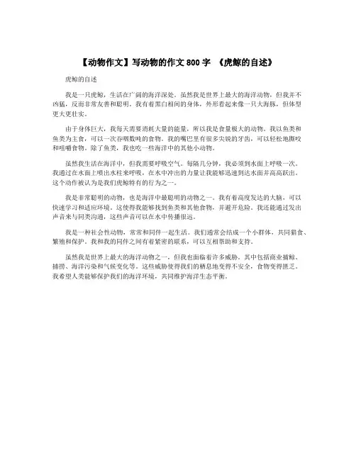 【动物作文】写动物的作文800字 《虎鲸的自述》