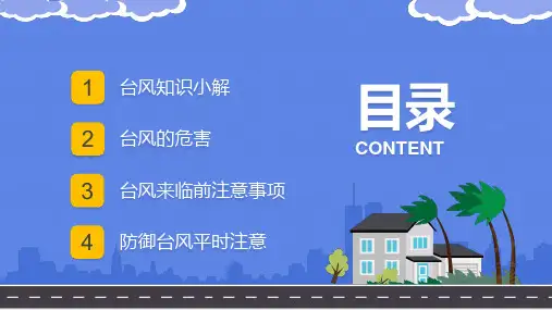 蓝色简约风台风来袭安全防护培训PPT专题演示