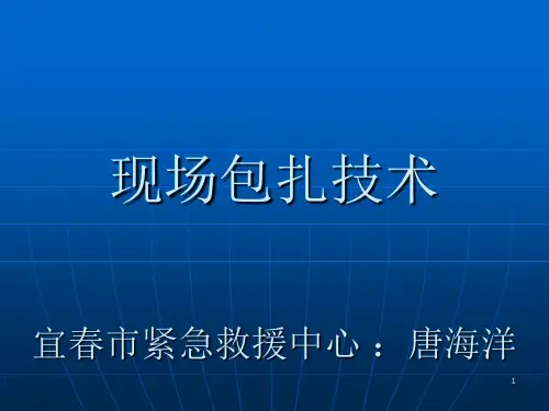 现场包扎技术PPT课件
