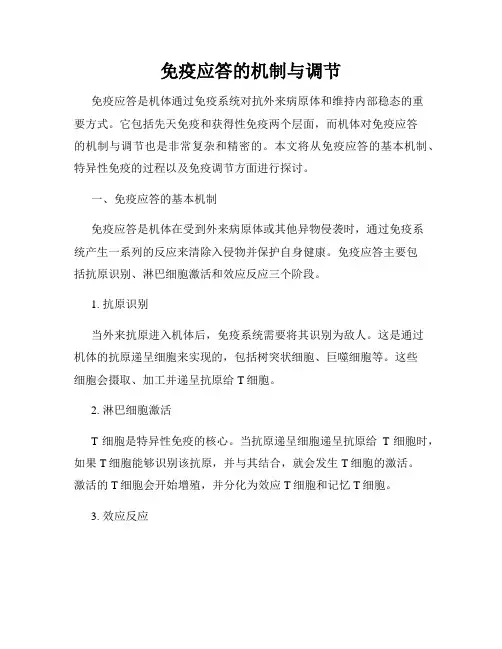 免疫应答的机制与调节