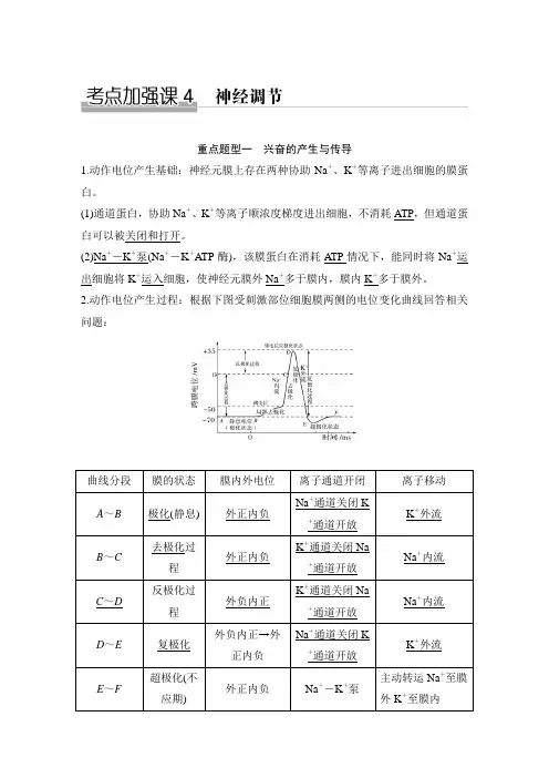 2020高考生物 考点加强课4 神经调节