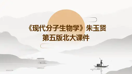 2024版《现代分子生物学》朱玉贤第五版北大课件