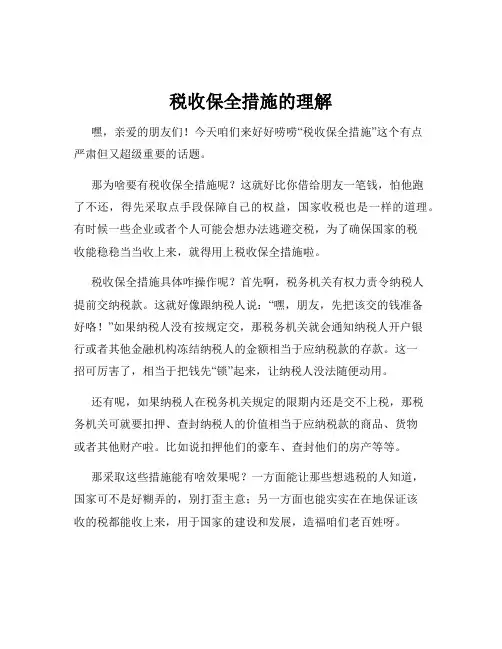 税收保全措施的理解