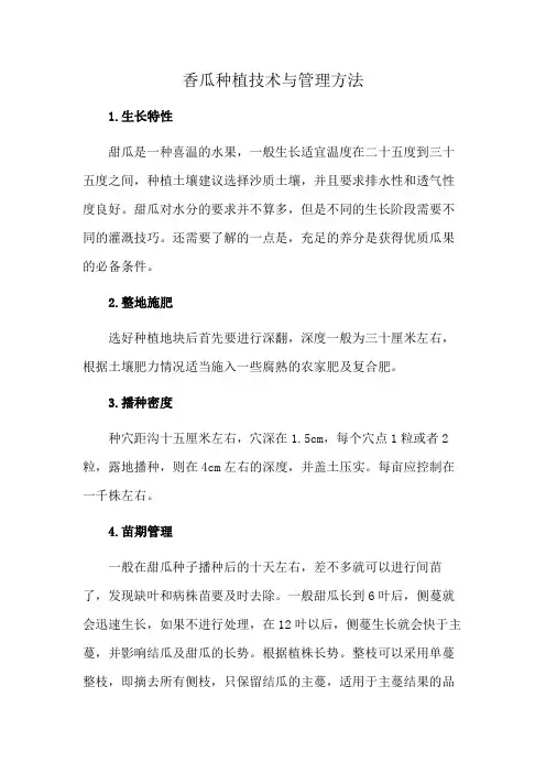 香瓜种植技术与管理方法